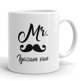 Mr. Igazam van feliratos vicces kerámia bögre bajusz mintával férfiaknak