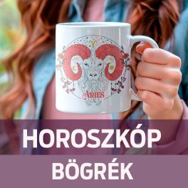 HOROSZKÓP - CSILLAGJEGYES BÖGRE