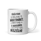 Túléltem még egy meetinget amit egy e-mailben is meg lehetett volna beszélni feliratú fekete-fehér vicces irodai kerámia bögre.