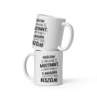 Túléltem még egy meetinget amit egy e-mailben is meg lehetett volna beszélni feliratú fekete-fehér vicces irodai kerámia bögre.