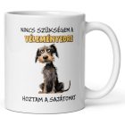 Nincs szükségem a véleményedre hoztam a sajátomat feliratú fehér kerámia bögre kócos barna kiskutya grafikájával