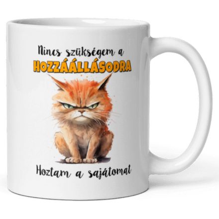 Nincs szükségem... bögre